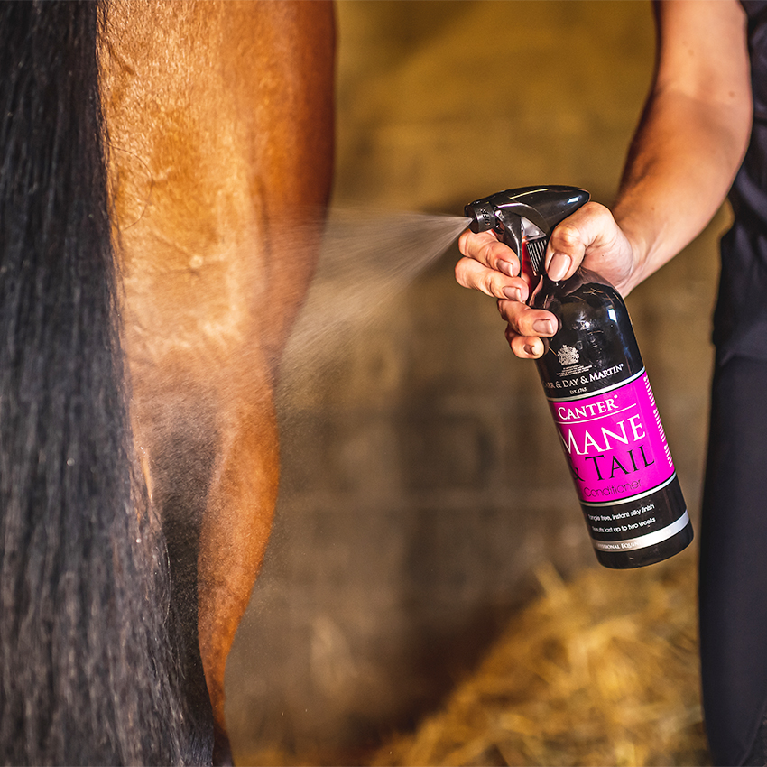Carr Day Martin Canter Mane And Tail Conditioner