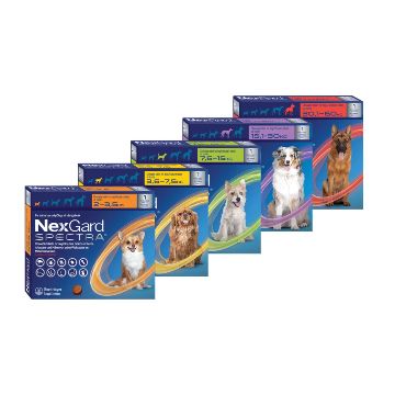 Nexgard Spectra (15kg - 30kg)