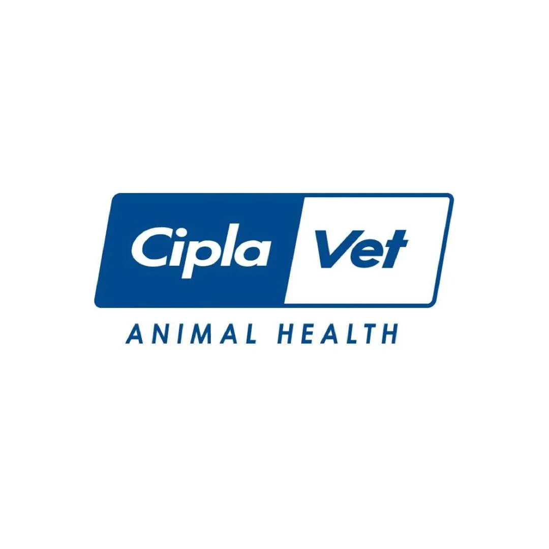Ciplavet