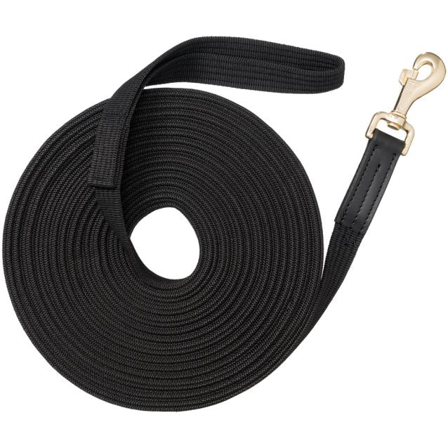 Lunge Lead