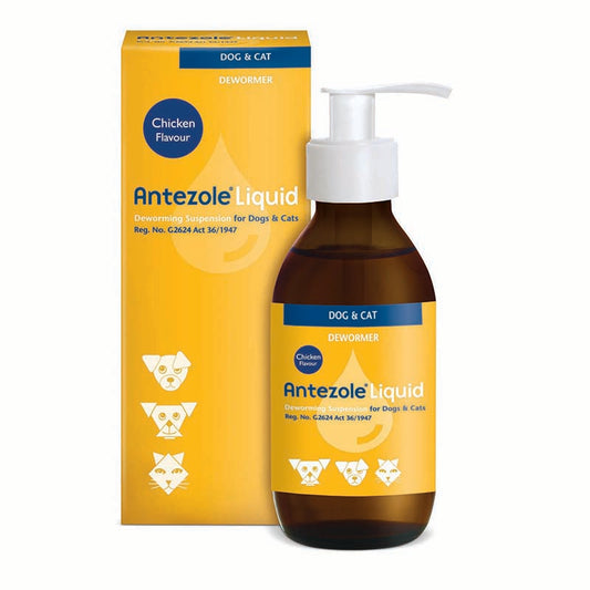 Antezole Liquid 100ml