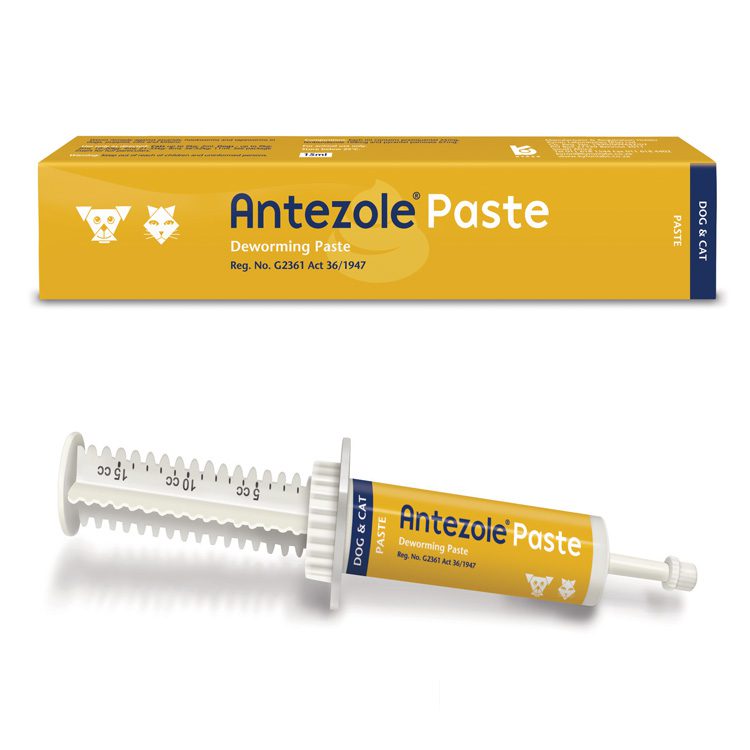 Antezole Paste 15ml