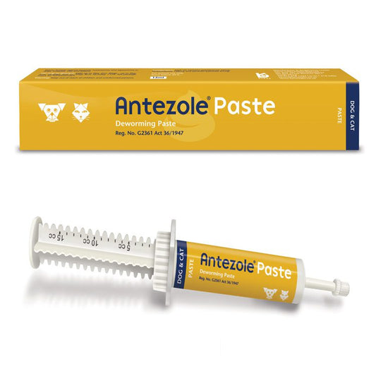 Antezole Paste 15ml