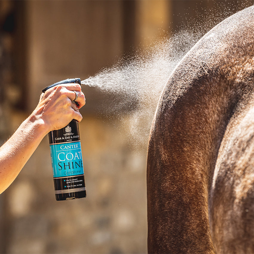Carr Day Martin Canter Coat Shine Conditioner 500ml