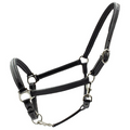 Capitol Premium Leather Headcollar