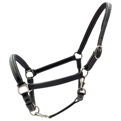 Capitol Premium Leather Headcollar