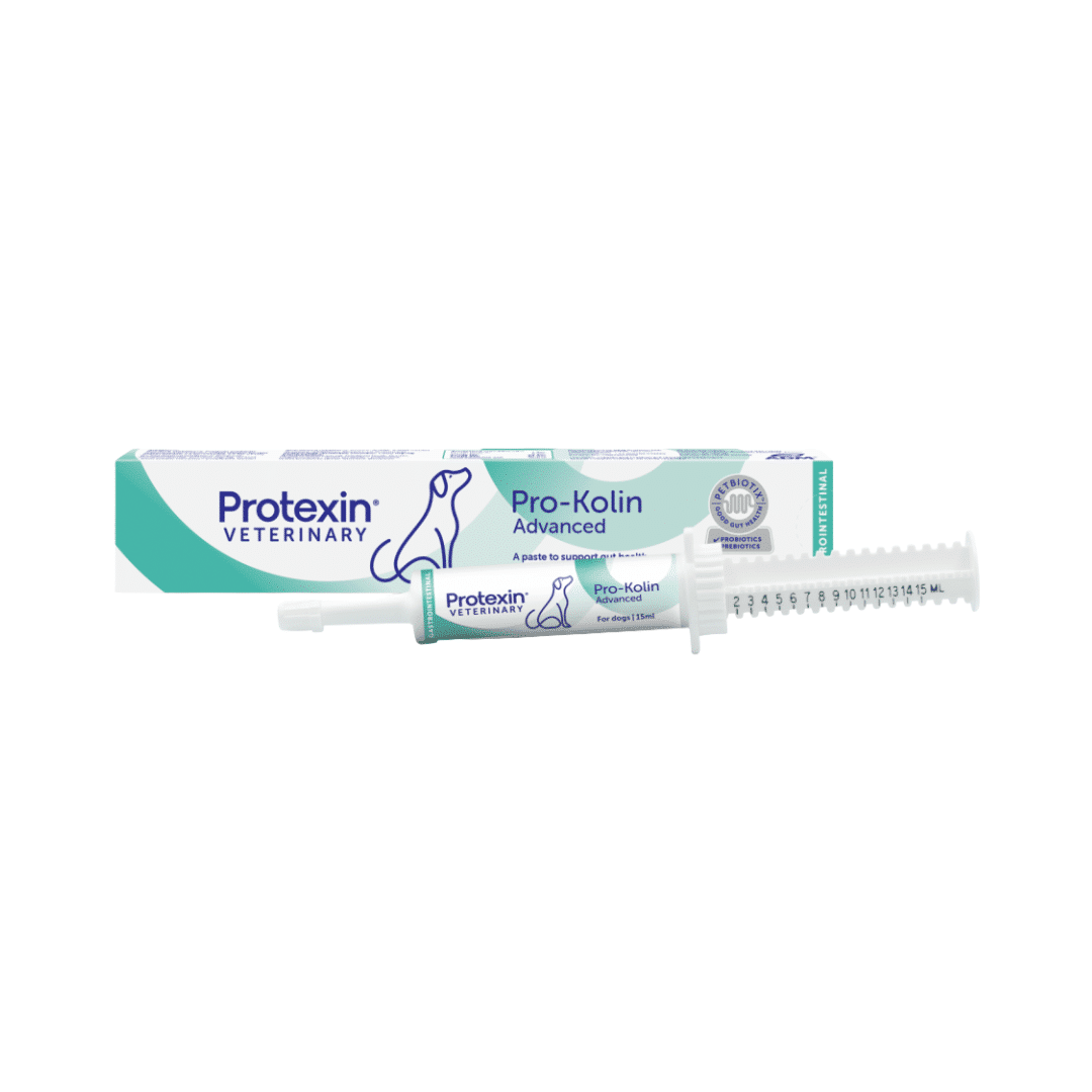 Pro-Kolin Advanced for Dogs (15ml)