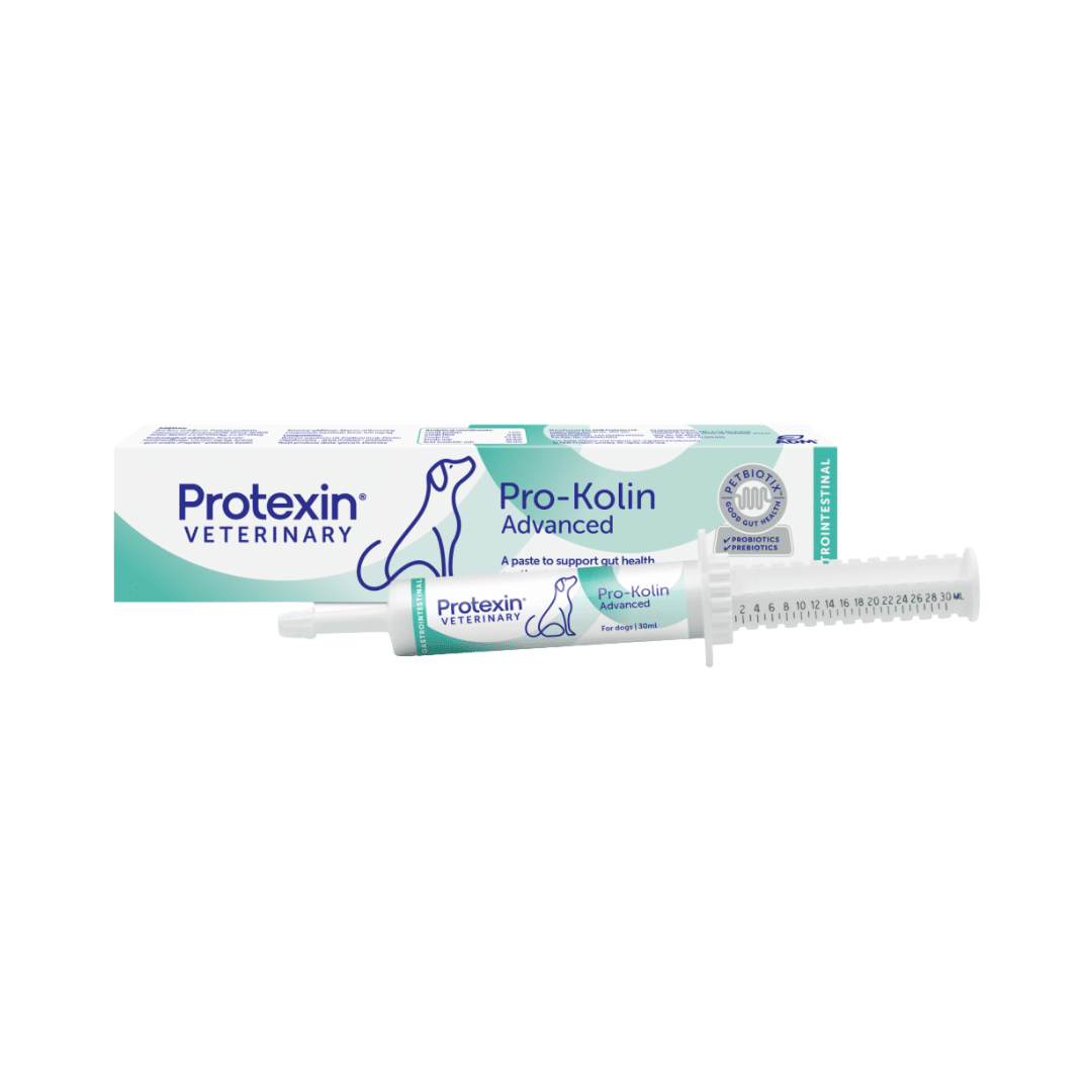 Pro-Kolin Advanced for Dogs (30ml)