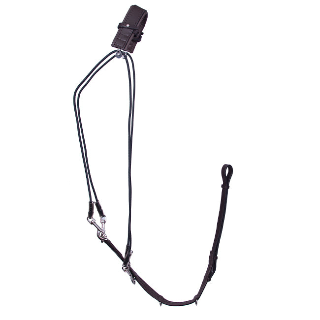 Phoenix Elastic Degogue