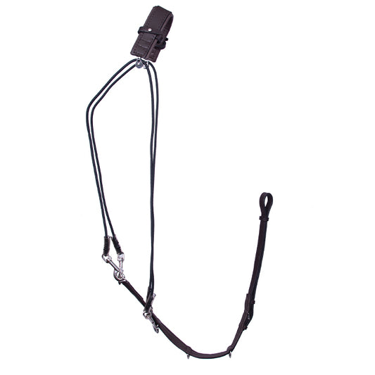 Phoenix Elastic Degogue