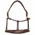 Brown raised fancy stitch horse halter with brass hardware and decorative noseband stitching