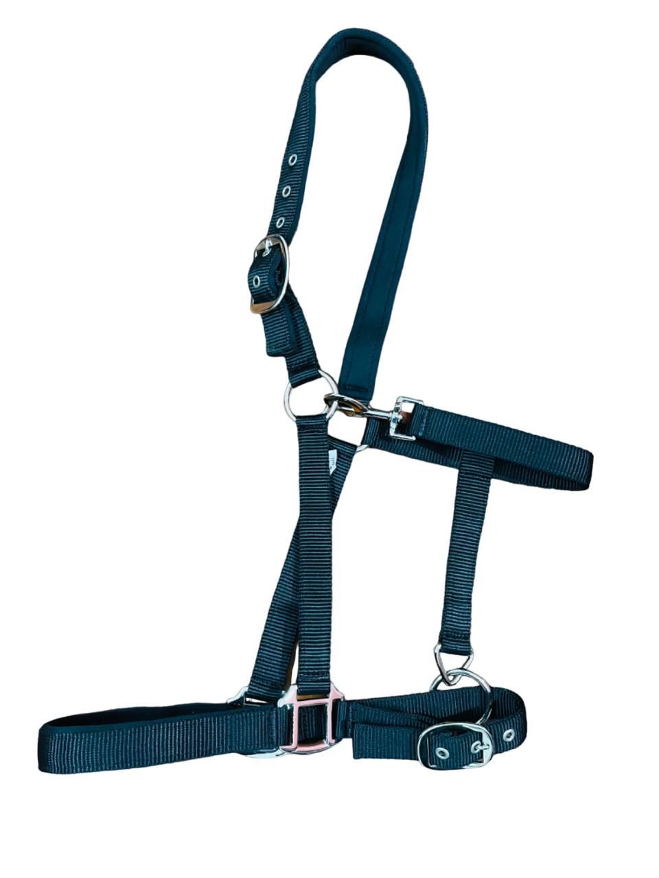 Indiana neoprene padded nylon horse halter in dark green with adjustable buckles and silver-coloured hardware