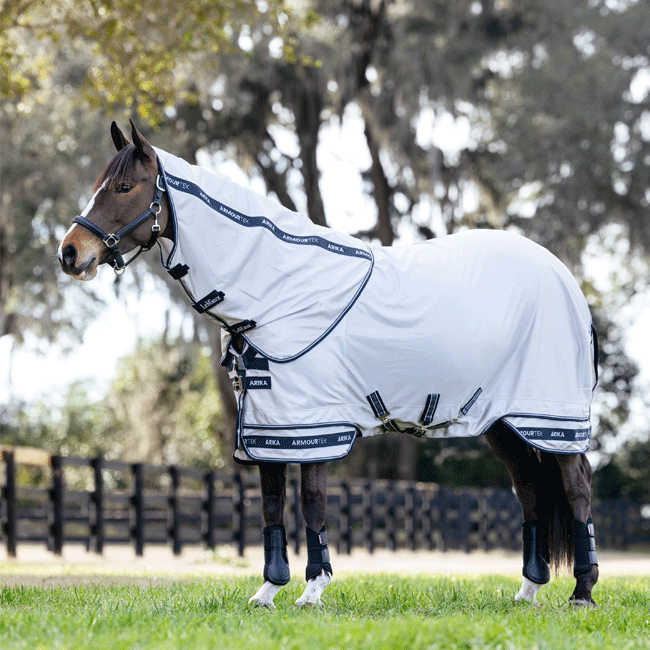 LeMieux Arika Armour-Tek fly rug in use outdoors