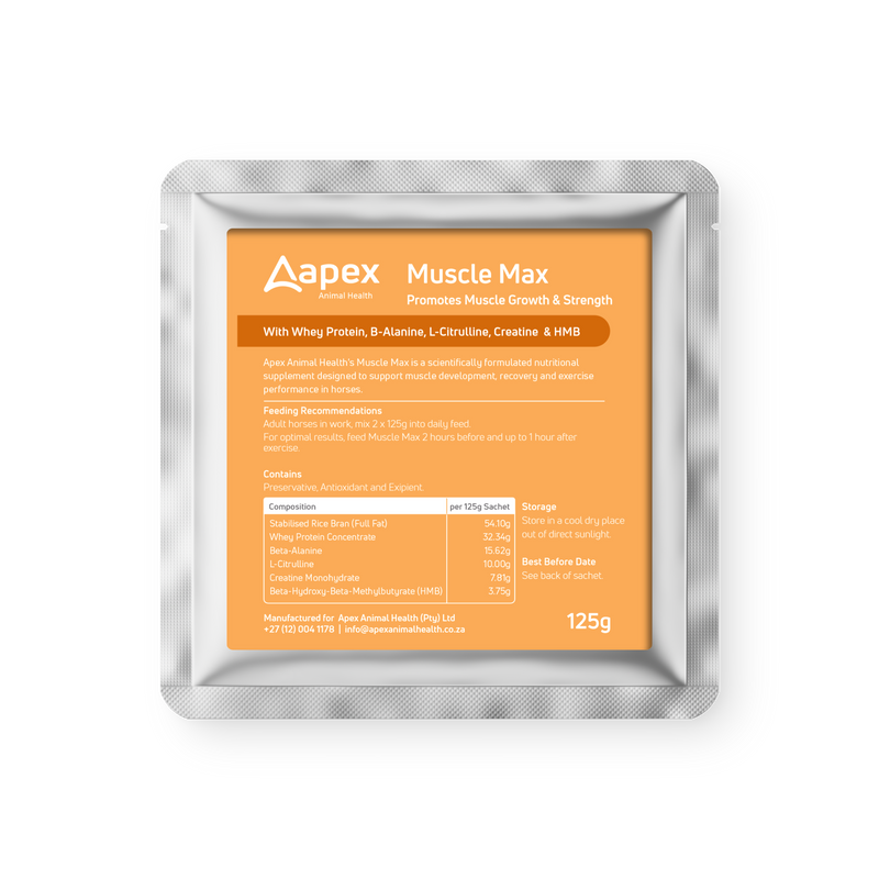 Apex Muscle Max (60 x 125g Sachets)